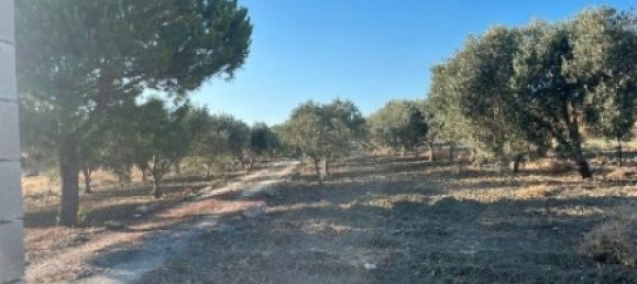 14500m² Land in Cadiz, Spain No. 169210 4