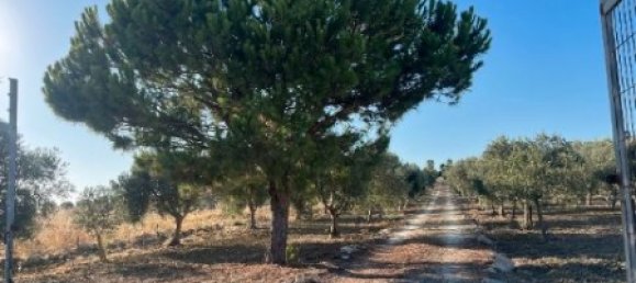 14500m² Land in Cadiz, Spain No. 169210 6