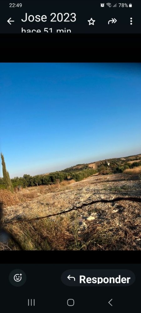 14500m² Land in Cadiz, Spain No. 169210