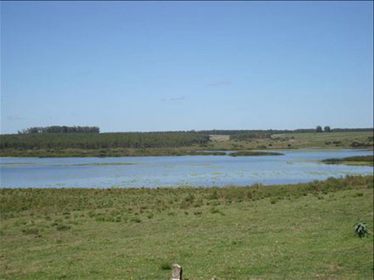 18m² Farm in Maldonado, Uruguay No. 15655