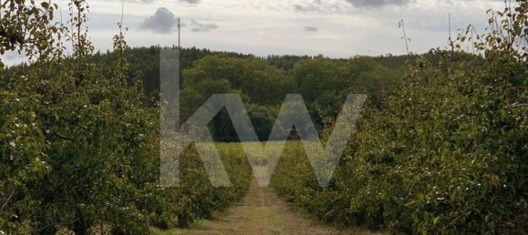 15 chambres Maison à Torres Vedras, Portugal No. 54383 42