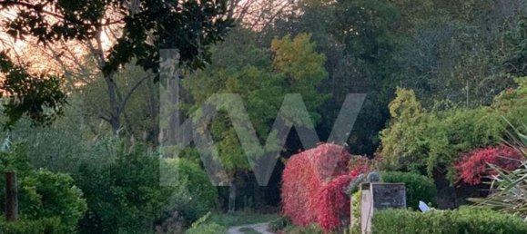 15 chambres Maison à Torres Vedras, Portugal No. 54383 20