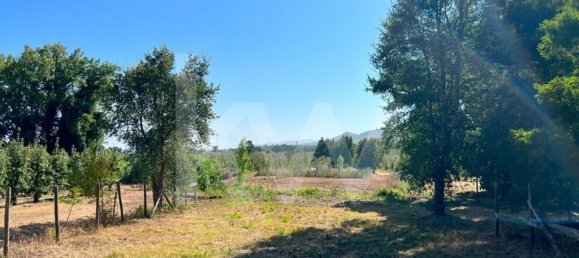 15 chambres Maison à Torres Vedras, Portugal No. 54383 44