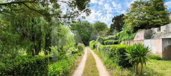 15 chambres Maison à Torres Vedras, Portugal No. 54383 17