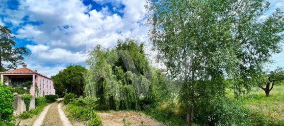 15 chambres Maison à Torres Vedras, Portugal No. 54383 16