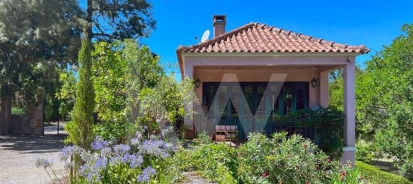 15 chambres Maison à Torres Vedras, Portugal No. 54383 28