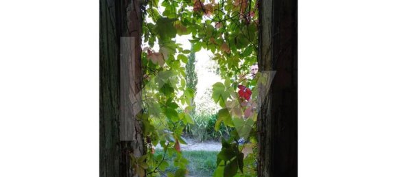 15 chambres Maison à Torres Vedras, Portugal No. 54383 39