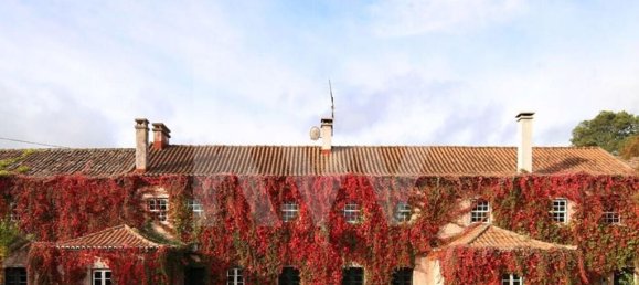 15 chambres Maison à Torres Vedras, Portugal No. 54383 23