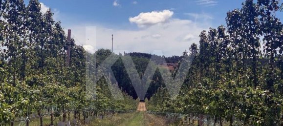 15 chambres Maison à Torres Vedras, Portugal No. 54383 40