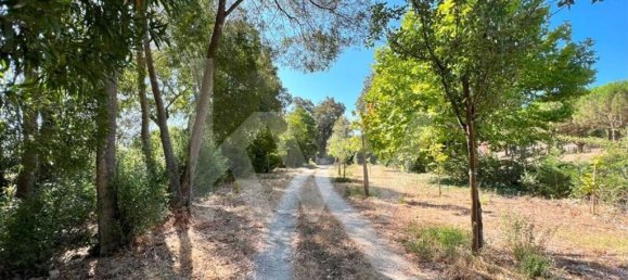 15 chambres Maison à Torres Vedras, Portugal No. 54383 5
