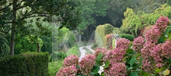 15 chambres Maison à Torres Vedras, Portugal No. 54383 19