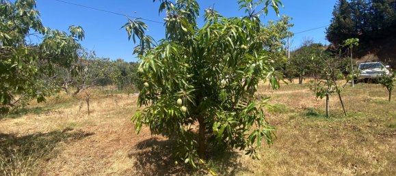2 Schlafzimmer Haus in Estepona, Spain, Nr. 139518 21