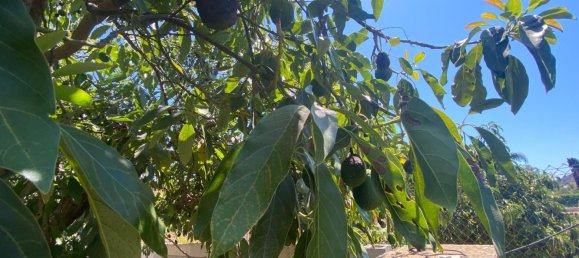 2 Schlafzimmer Haus in Estepona, Spain, Nr. 139518 17