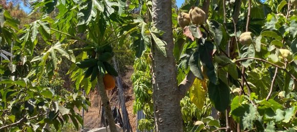 2 Schlafzimmer Haus in Estepona, Spain, Nr. 139518 18