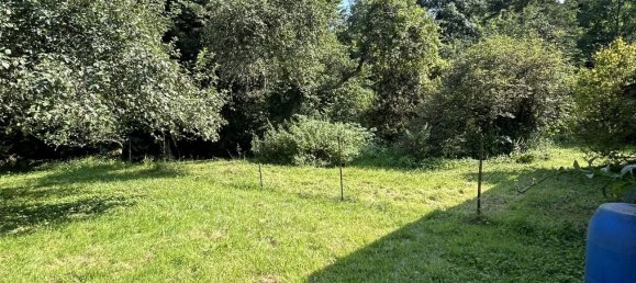 5غرفة منزل في Saint-Die-des-Vosges, France رقم 238928 8