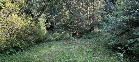 5غرفة منزل في Saint-Die-des-Vosges, France رقم 238928 9