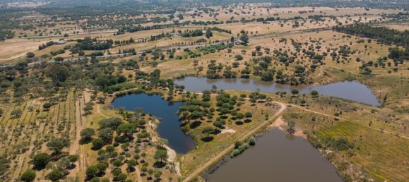 13 bedrooms House in Grandola, Portugal No. 139079 7