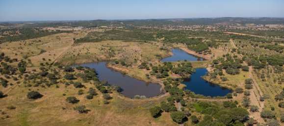 13 bedrooms House in Grandola, Portugal No. 139079 8