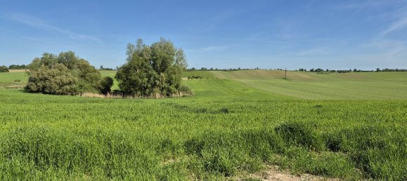 3-Zimmer Wohnung in Mecklenburgische Seenplatte, Germany, Nr. 191204 3