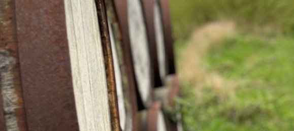 12غرفة تاون هاوس في Vorpommern-Rugen, Germany رقم 224470 30