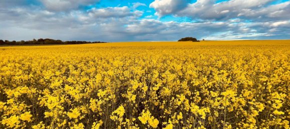 12غرفة تاون هاوس في Vorpommern-Rugen, Germany رقم 224470 25