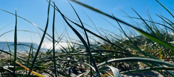 12غرفة تاون هاوس في Vorpommern-Rugen, Germany رقم 224470 24