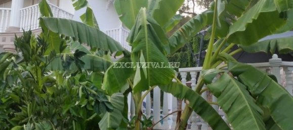 Villa 6+1 in Kemer, Turkey No. 28361 23