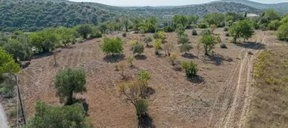 Terreno T4 em Santa Catarina da Fonte do Bispo, Portugal N.º 68753 9