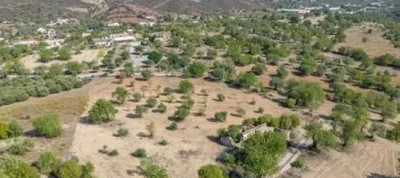 Terreno T4 em Santa Catarina da Fonte do Bispo, Portugal N.º 68753 14