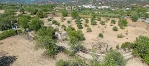 Terreno T4 em Santa Catarina da Fonte do Bispo, Portugal N.º 68753 11