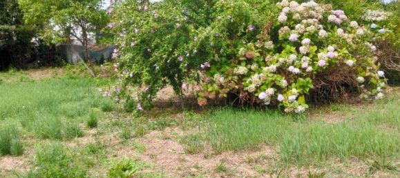 2 rooms Apartment in Orino, Italy No. 283255 14