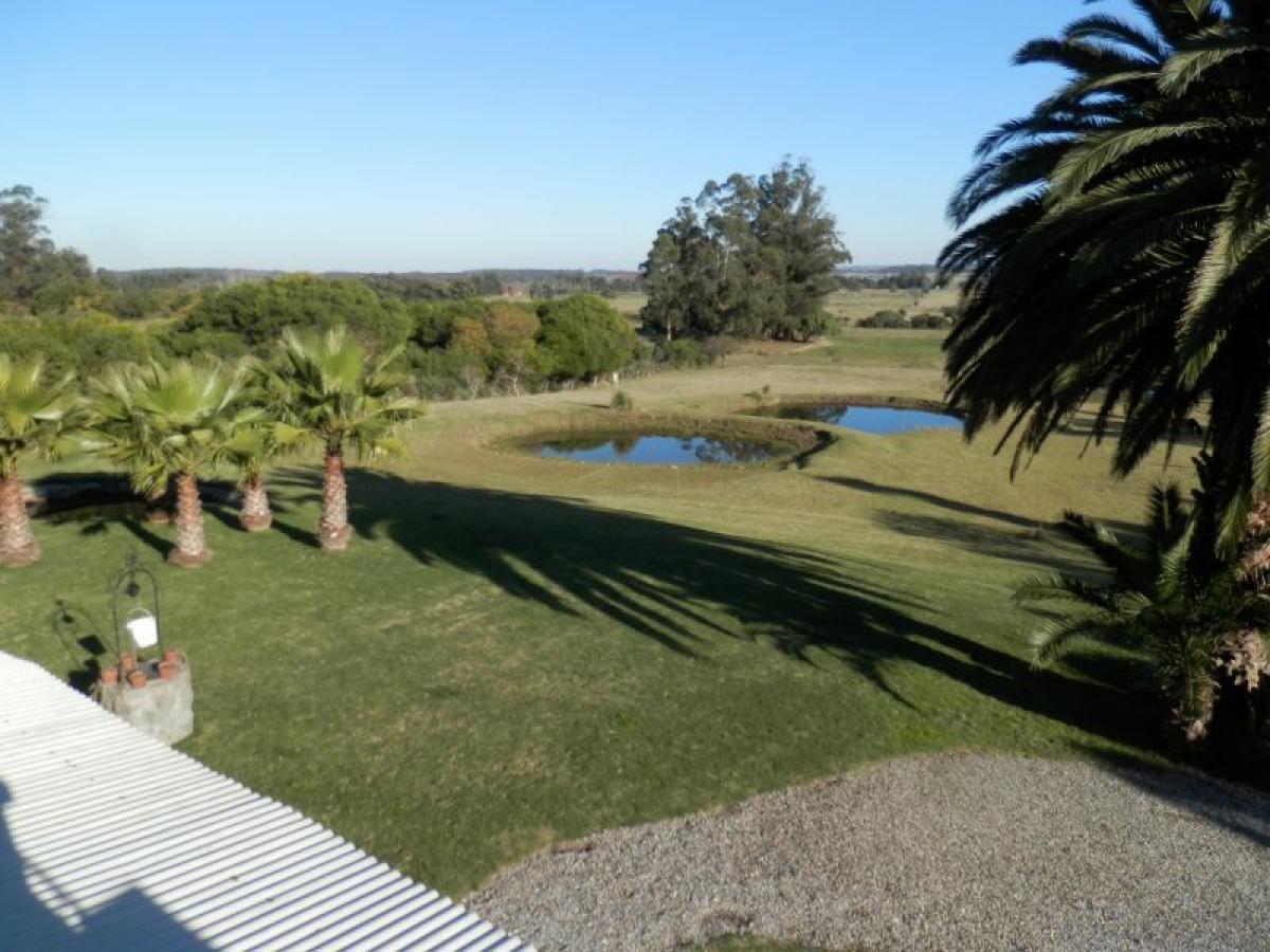 Ferme à Maldonado, Uruguay 180m² No. 15187