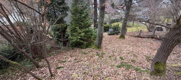 1 bedroom Townhouse in Hochtaunuskreis, Germany No. 17153 20