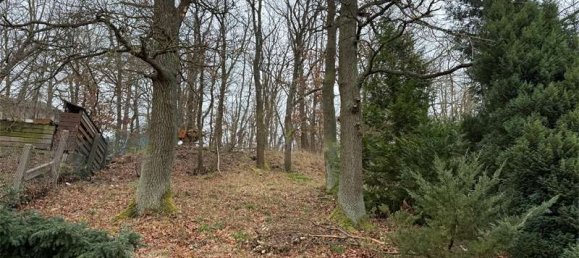 1 bedroom Townhouse in Hochtaunuskreis, Germany No. 17153 19