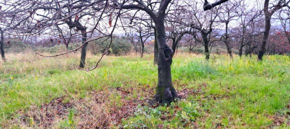  قطعة أرض في Somma Vesuviana, Italy 4500متر مربع رقم 129376 6