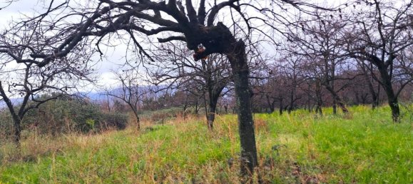  قطعة أرض في Somma Vesuviana, Italy 4500متر مربع رقم 129376 4