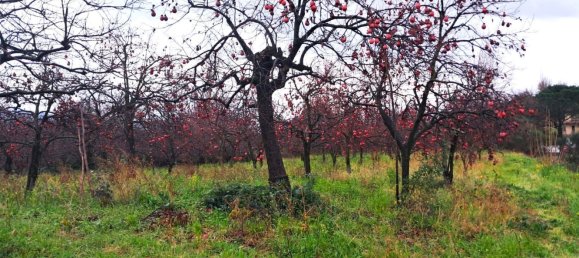  قطعة أرض في Somma Vesuviana, Italy 4500متر مربع رقم 129376 5