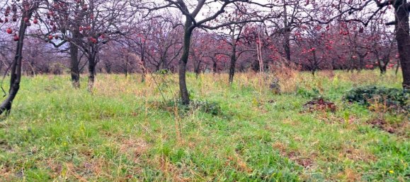  قطعة أرض في Somma Vesuviana, Italy 4500متر مربع رقم 129376 9