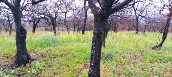  قطعة أرض في Somma Vesuviana, Italy 4500متر مربع رقم 129376 7