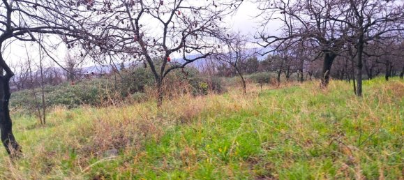  قطعة أرض في Somma Vesuviana, Italy 4500متر مربع رقم 129376 2