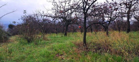  قطعة أرض في Somma Vesuviana, Italy 4500متر مربع رقم 129376 3