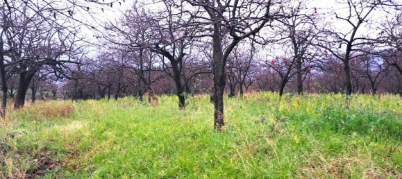  قطعة أرض في Somma Vesuviana, Italy 4500متر مربع رقم 129376 8