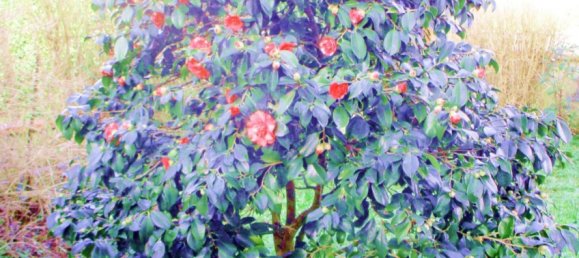 10 rooms Villa in Castelfranco di Sotto, Italy No. 203899 4