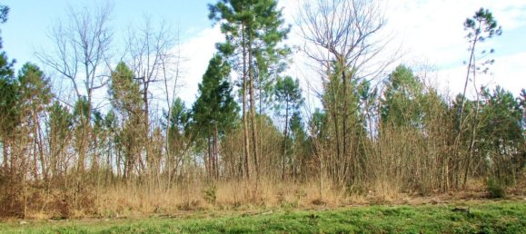 10 rooms Villa in Castelfranco di Sotto, Italy No. 203899 8