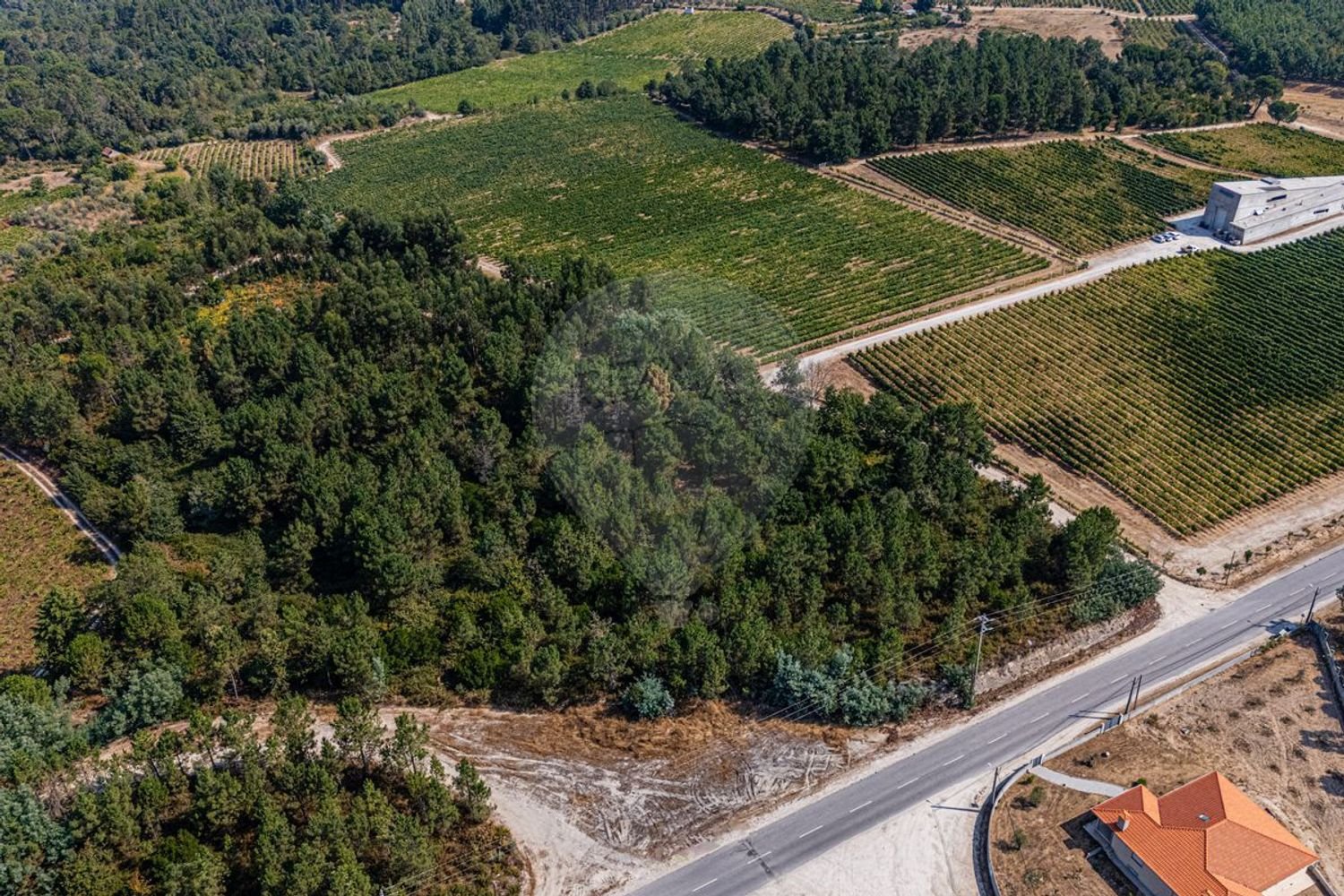  Land in Canas de Senhorim, Portugal No. 324661