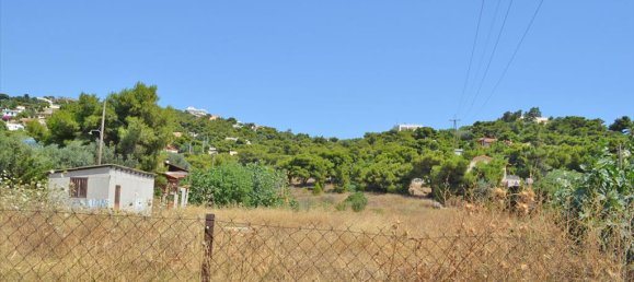 7000m² Hotel for sale in Kalyvia Thorikou, Saronikos, East Attica, Attica, Greece № 7720 6