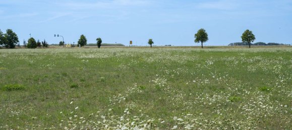 Apartamento de 2 habitaciónes en Saalekreis, Germany No. 100599 13