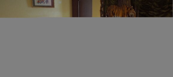 11 bedrooms House in Corroios, Portugal No. 110280 21