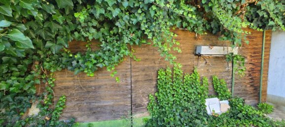 3 rooms House in Gussing, Austria No. 237830 11