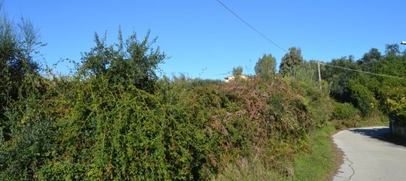 9000m² Hotel in Corfu, Greece No. 7474 6